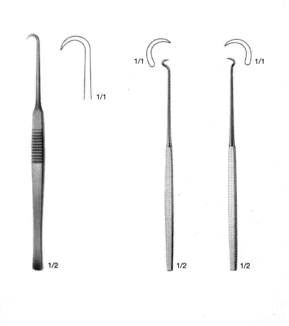 BOSE KANCA EKARTÖR 16.5CM